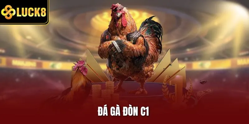 Đá gà đòn C1
