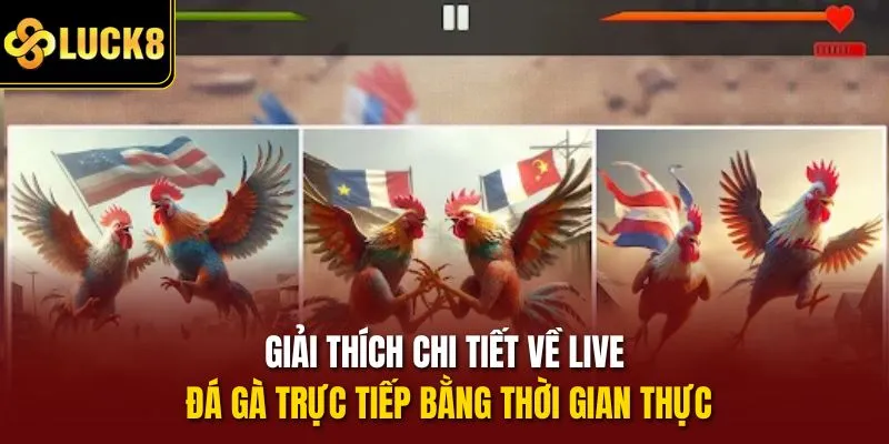 Giải thích chi tiết về live đá gà trực tiếp bằng thời gian thực