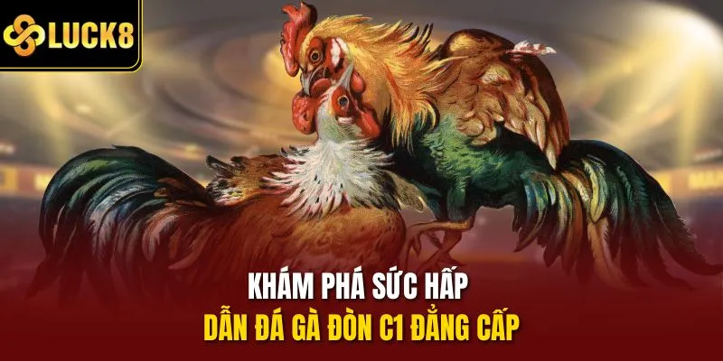 Khám phá sức hấp dẫn đá gà đòn C1 đẳng cấp