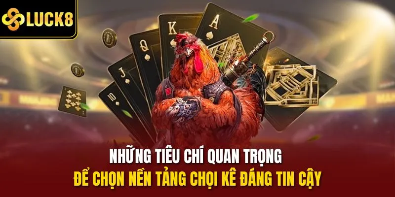 Những tiêu chí quan trọng để chọn nền tảng chọi kê đáng tin cậy